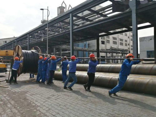 中鹽內(nèi)蒙古化工公司電石廠組織職工圓滿完成600噸 日石灰窯活性石灰項目電纜敷設(shè)任務