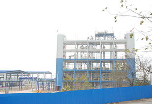 江西星火有機硅廠的組織架構